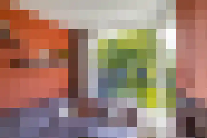 Berkenlaan 8 Haren Gn thumbnail 12