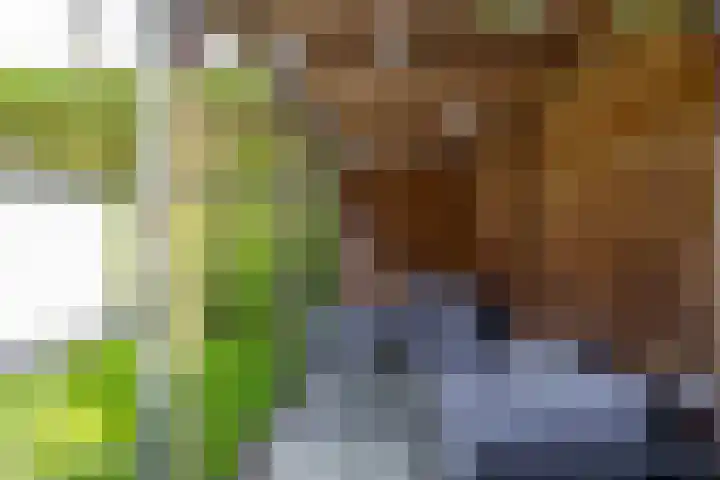 Berkenlaan 8 Haren Gn thumbnail 20