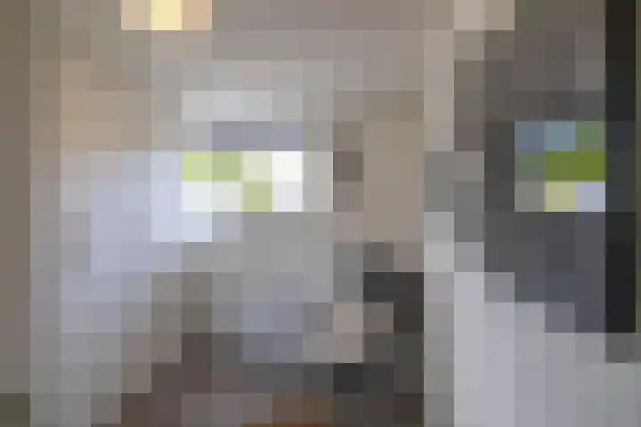 Berkenlaan 8 Haren Gn thumbnail 34