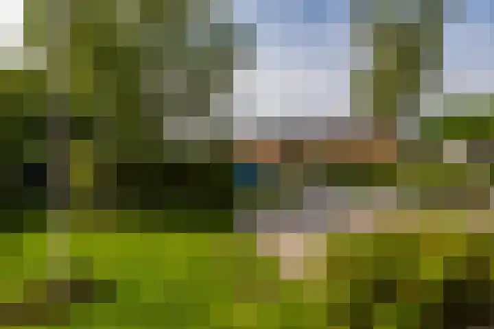 Berkenlaan 8 Haren Gn thumbnail 37