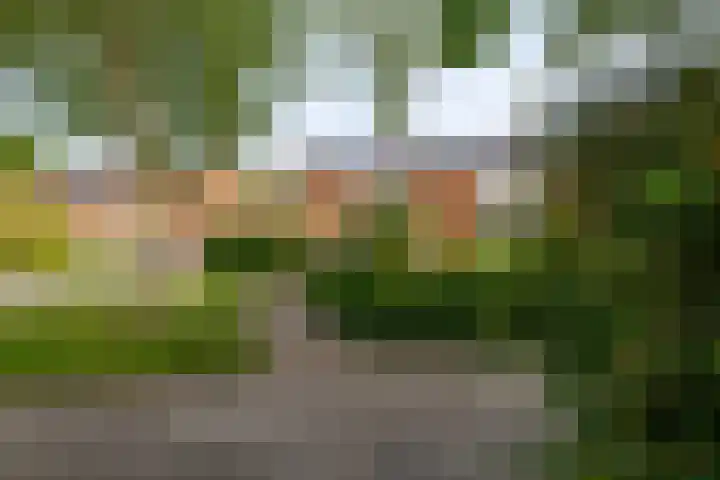 Berkenlaan 8 Haren Gn thumbnail 38
