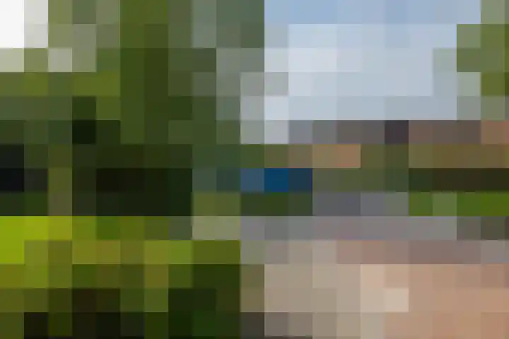 Berkenlaan 8 Haren Gn thumbnail 39