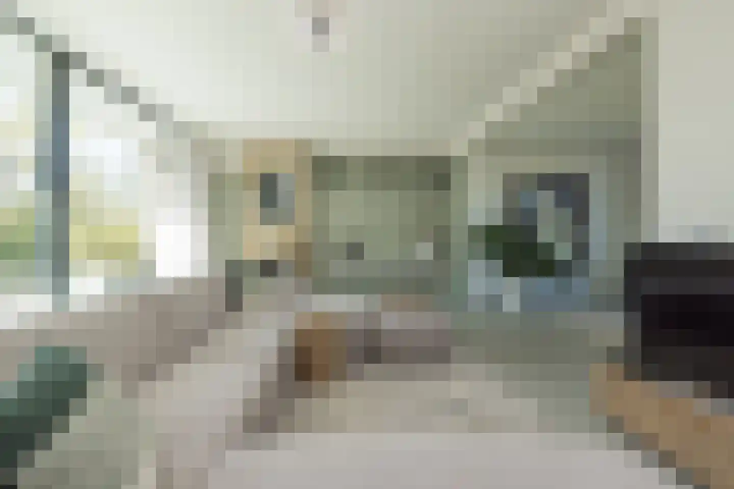 Berkenlaan 8 Katwijk thumbnail 11