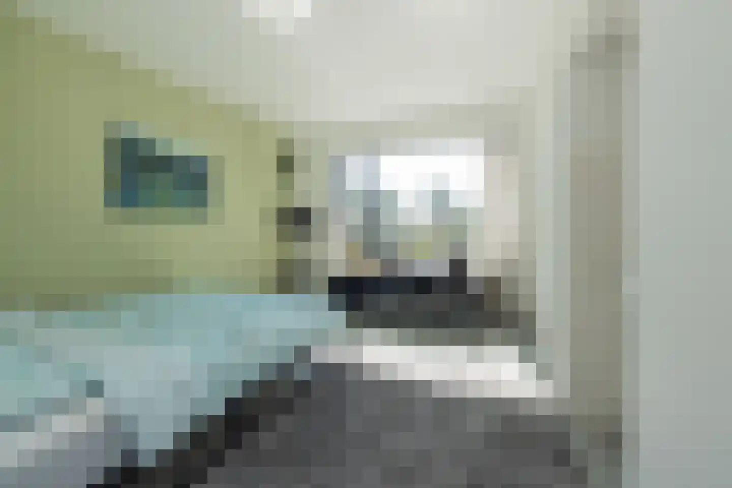 Berkenlaan 8 Katwijk thumbnail 18