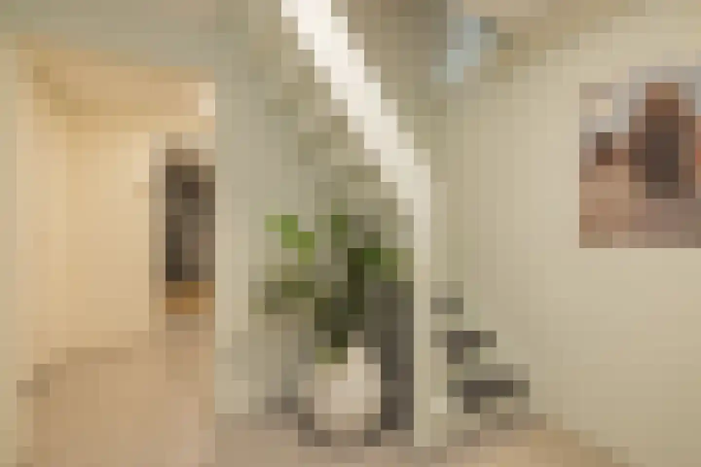 Berkenlaan 8 Katwijk thumbnail 19