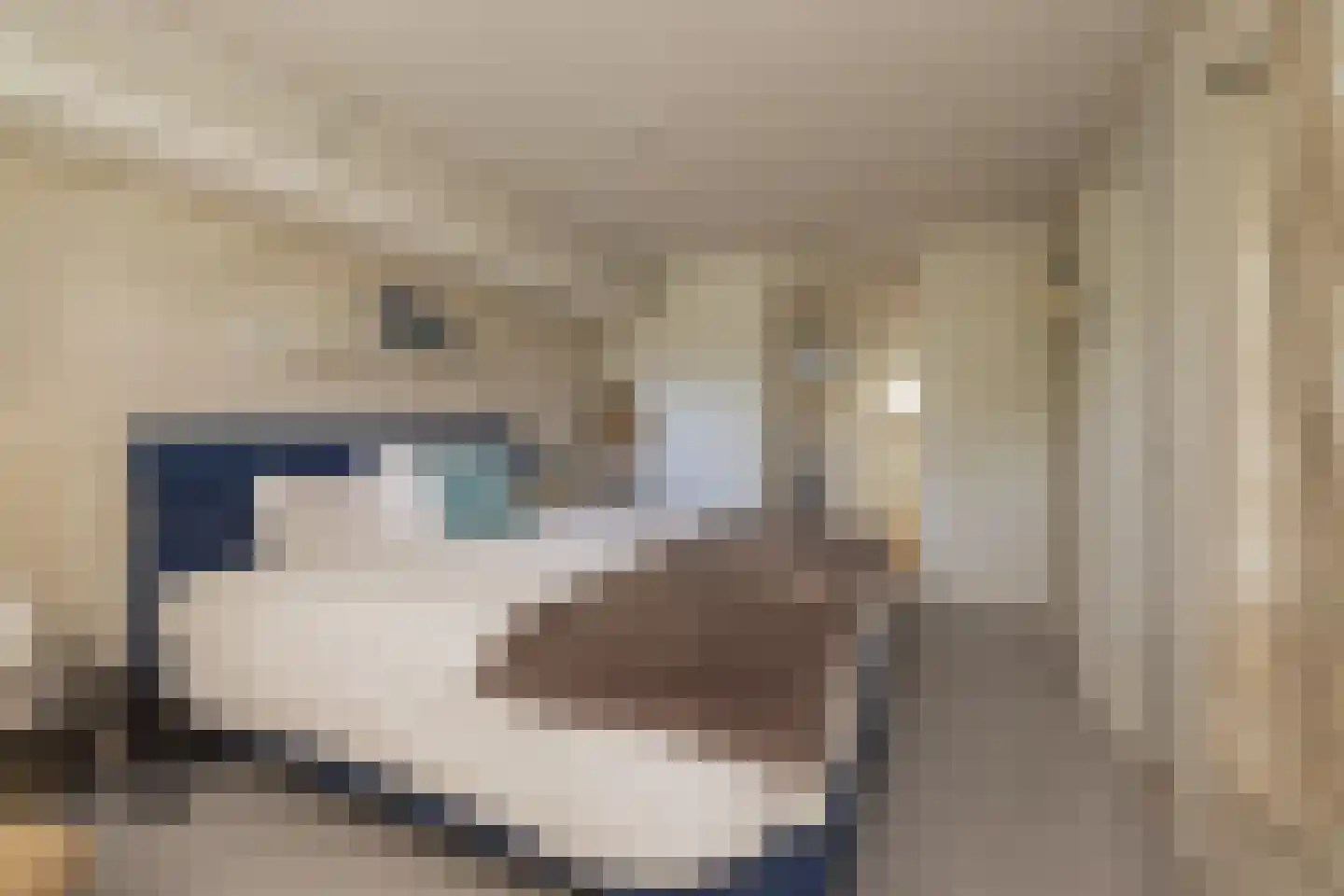 Berkenlaan 8 Katwijk thumbnail 22