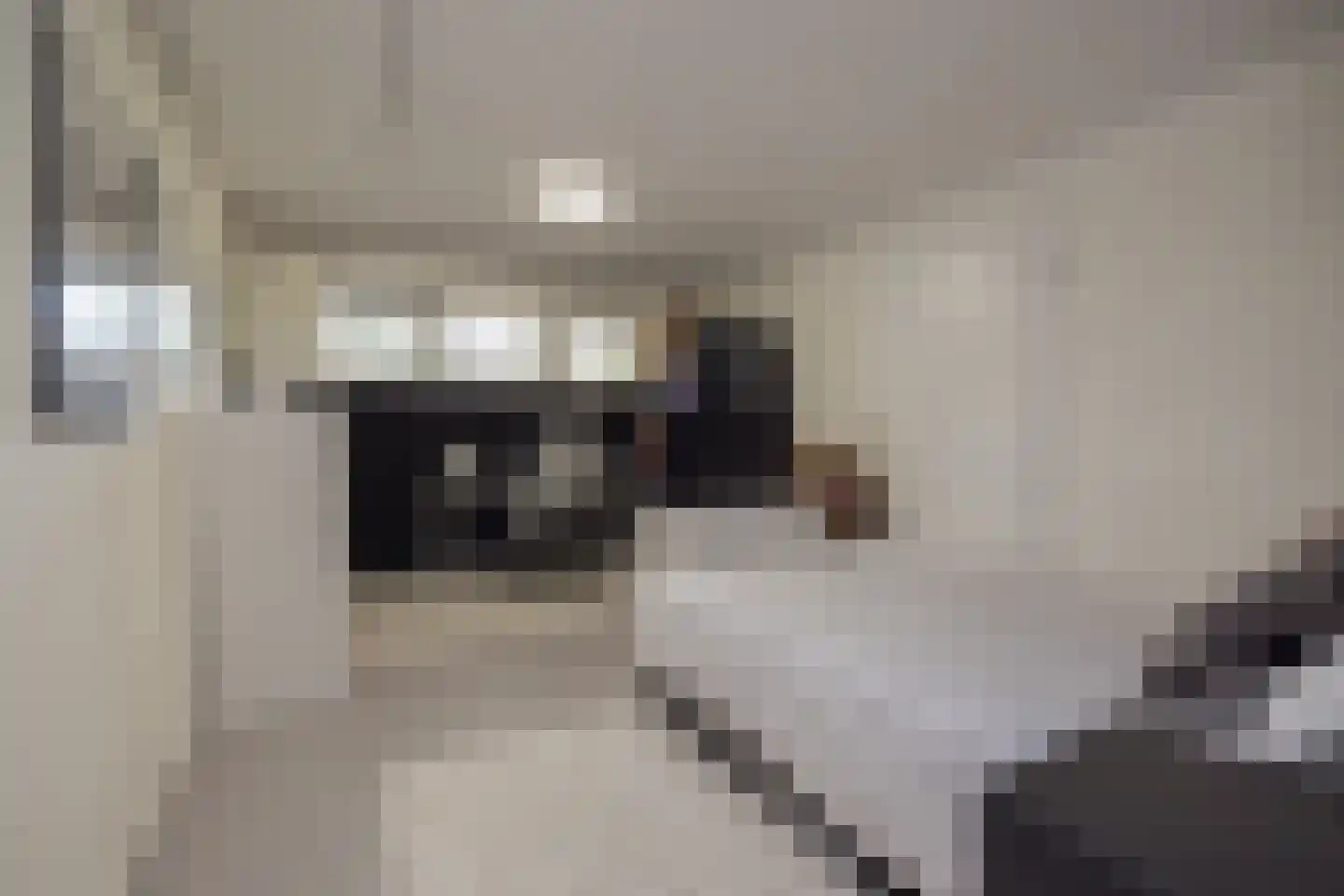 Berkenlaan 8 Katwijk thumbnail 23