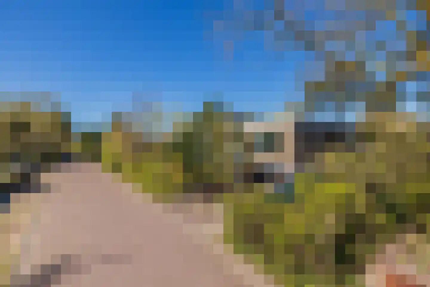 Berkenlaan 8 Katwijk thumbnail 30