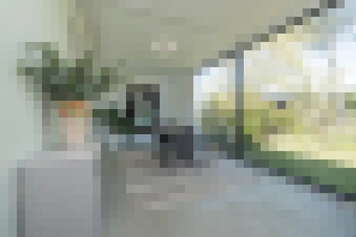 Berkenlaan 8 Katwijk thumbnail 7