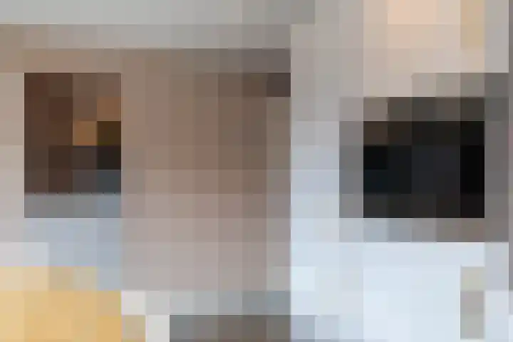 Berkenlaan 80 Silvolde thumbnail 17