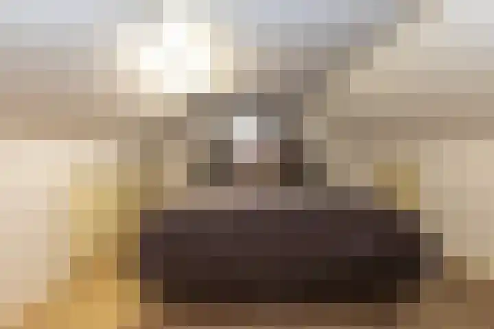 Berkenlaan 80 Silvolde thumbnail 35