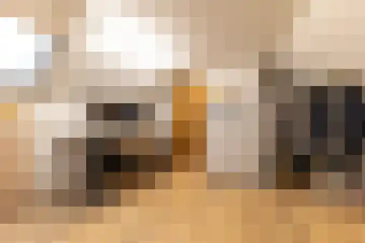 Berkenlaan 80 Silvolde thumbnail 36