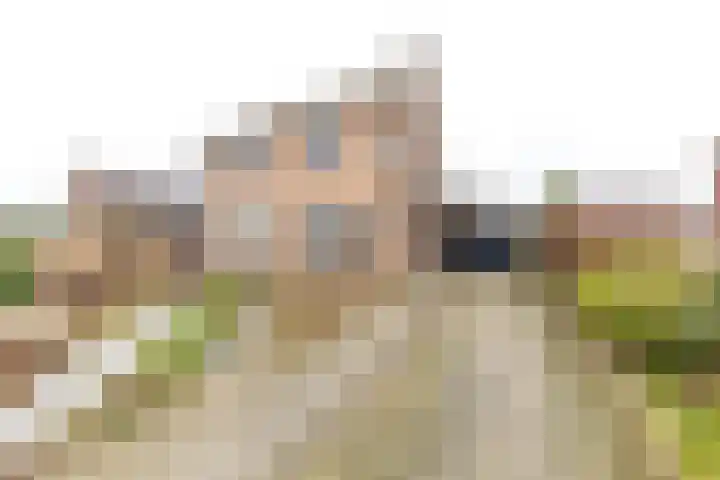 Berkenlaan 80 Silvolde thumbnail 4