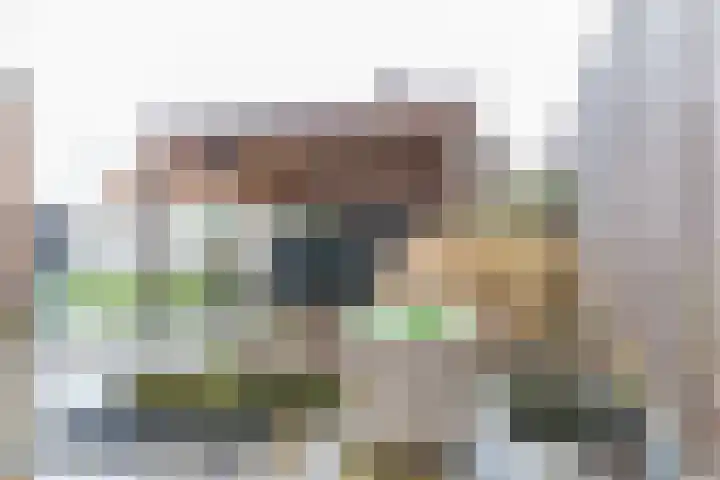 Berkenlaan 80 Silvolde thumbnail 40