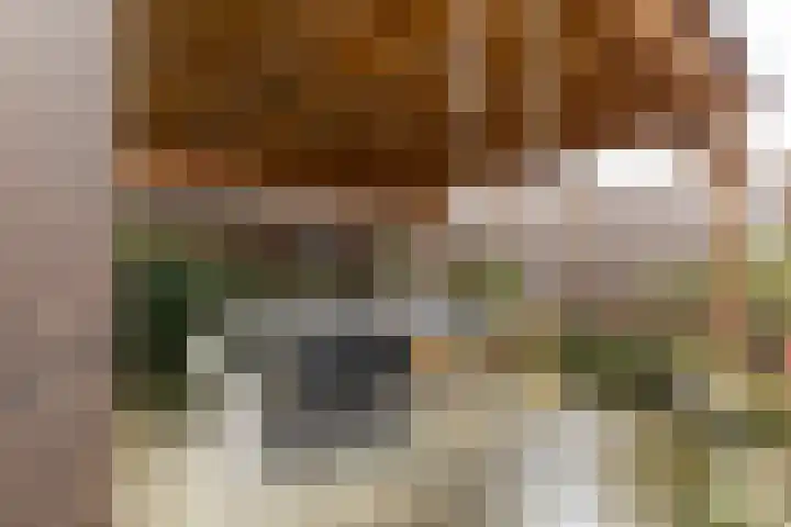 Berkenlaan 80 Silvolde thumbnail 41