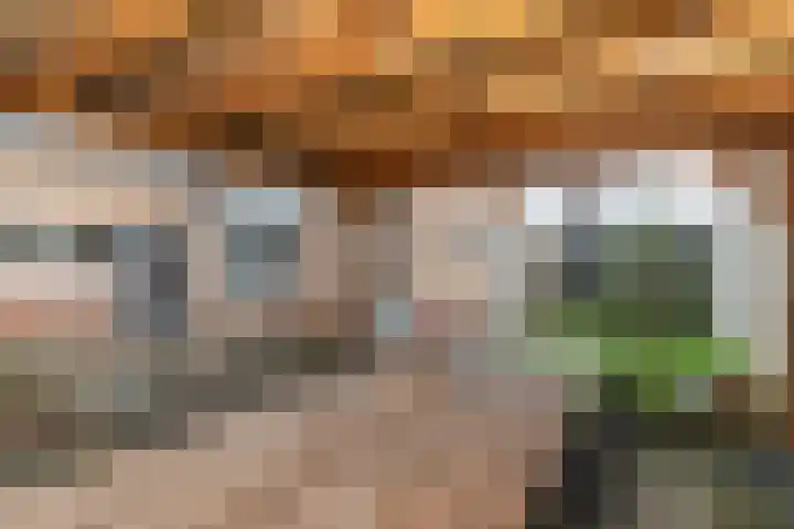 Berkenlaan 80 Silvolde thumbnail 42