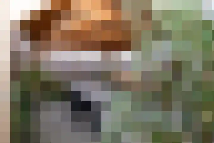 Berkenlaan 80 Silvolde thumbnail 43