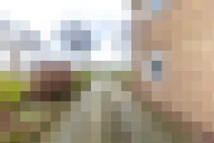 Berkenlaan 80 Silvolde thumbnail 45