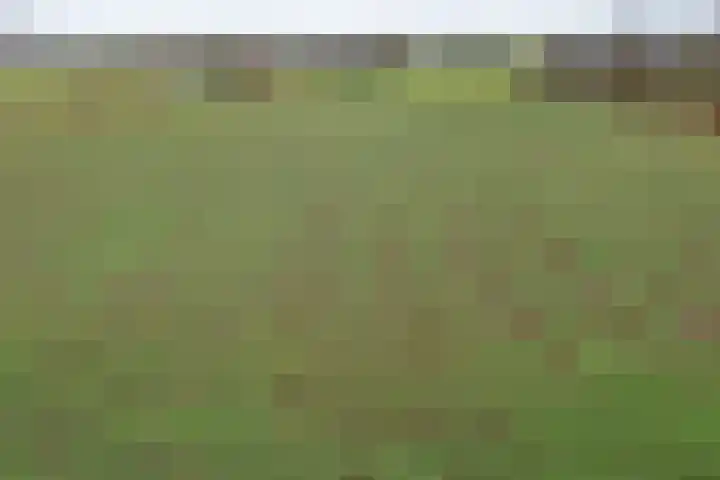 Berkenlaan 80 Silvolde thumbnail 46