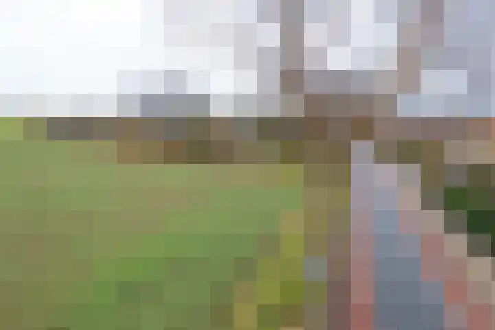 Berkenlaan 80 Silvolde thumbnail 47