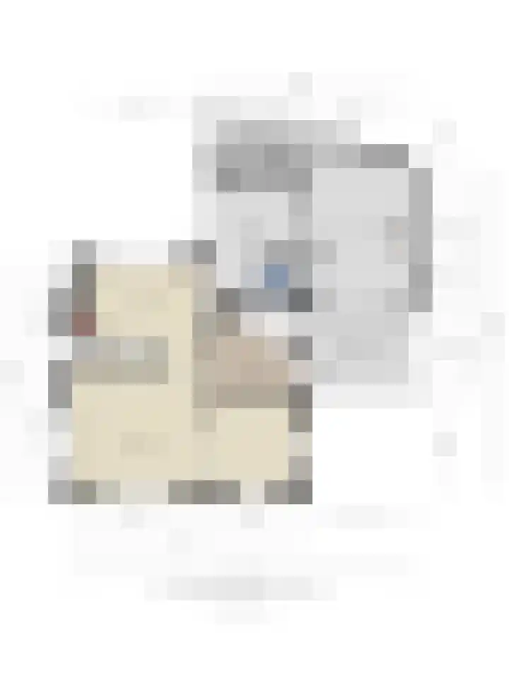 Berkenlaan 80 Silvolde thumbnail 48