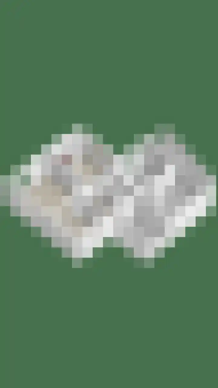 Berkenlaan 80 Silvolde thumbnail 53