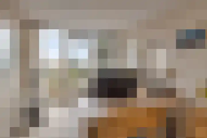 Berkenlaan 82 Harmelen thumbnail 16