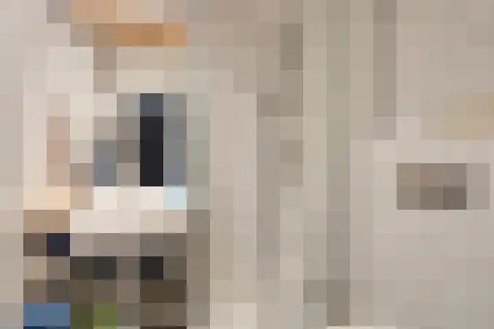 Berkenlaan 82 Harmelen thumbnail 18