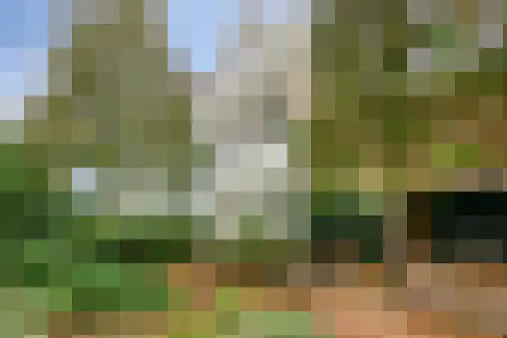 Berkenlaan 82 Harmelen thumbnail 26