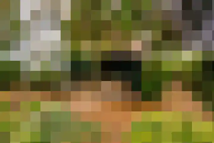 Berkenlaan 82 Harmelen thumbnail 27