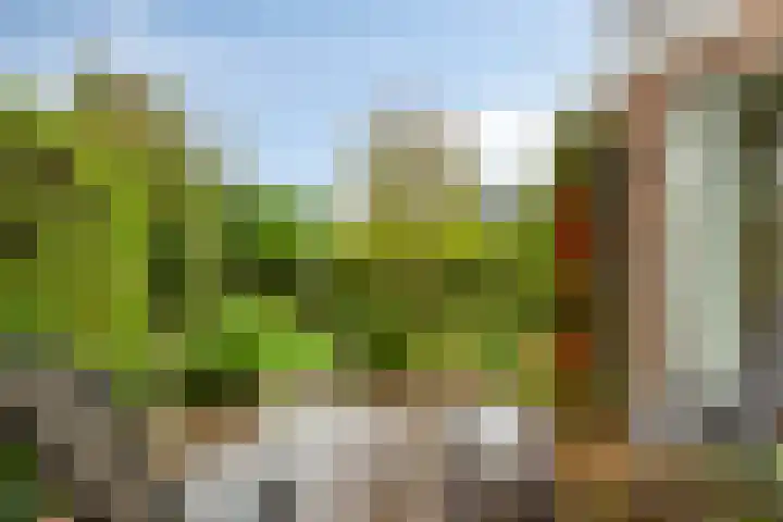 Berkenlaan 82 Harmelen thumbnail 28