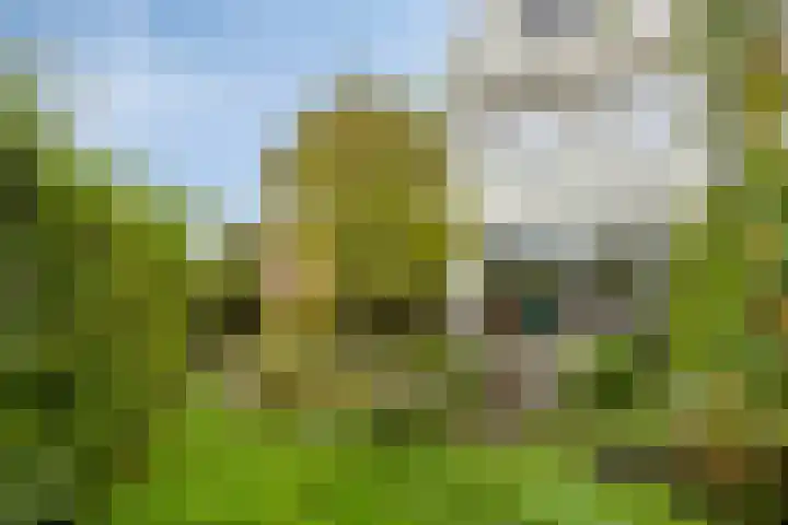 Berkenlaan 82 Harmelen thumbnail 29