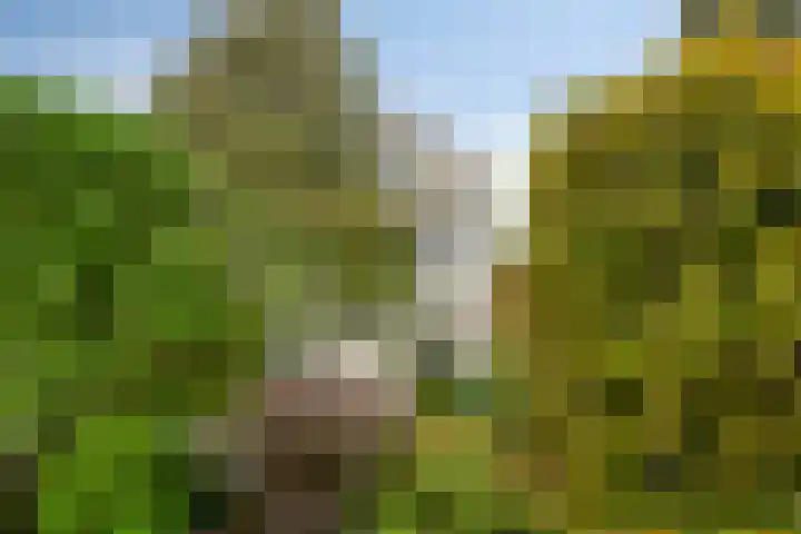 Berkenlaan 82 Harmelen thumbnail 30