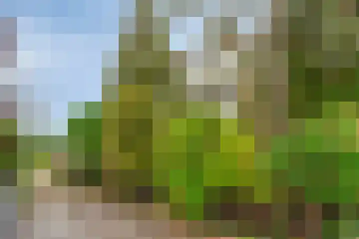 Berkenlaan 82 Harmelen thumbnail 31
