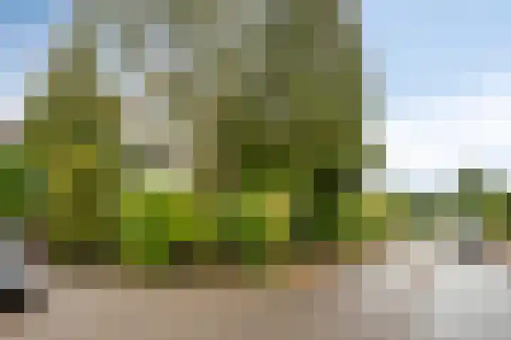 Berkenlaan 82 Harmelen thumbnail 32