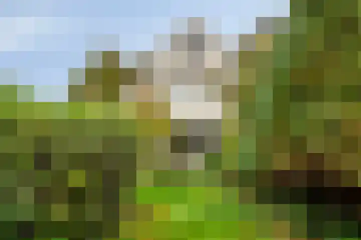 Berkenlaan 82 Harmelen thumbnail 4