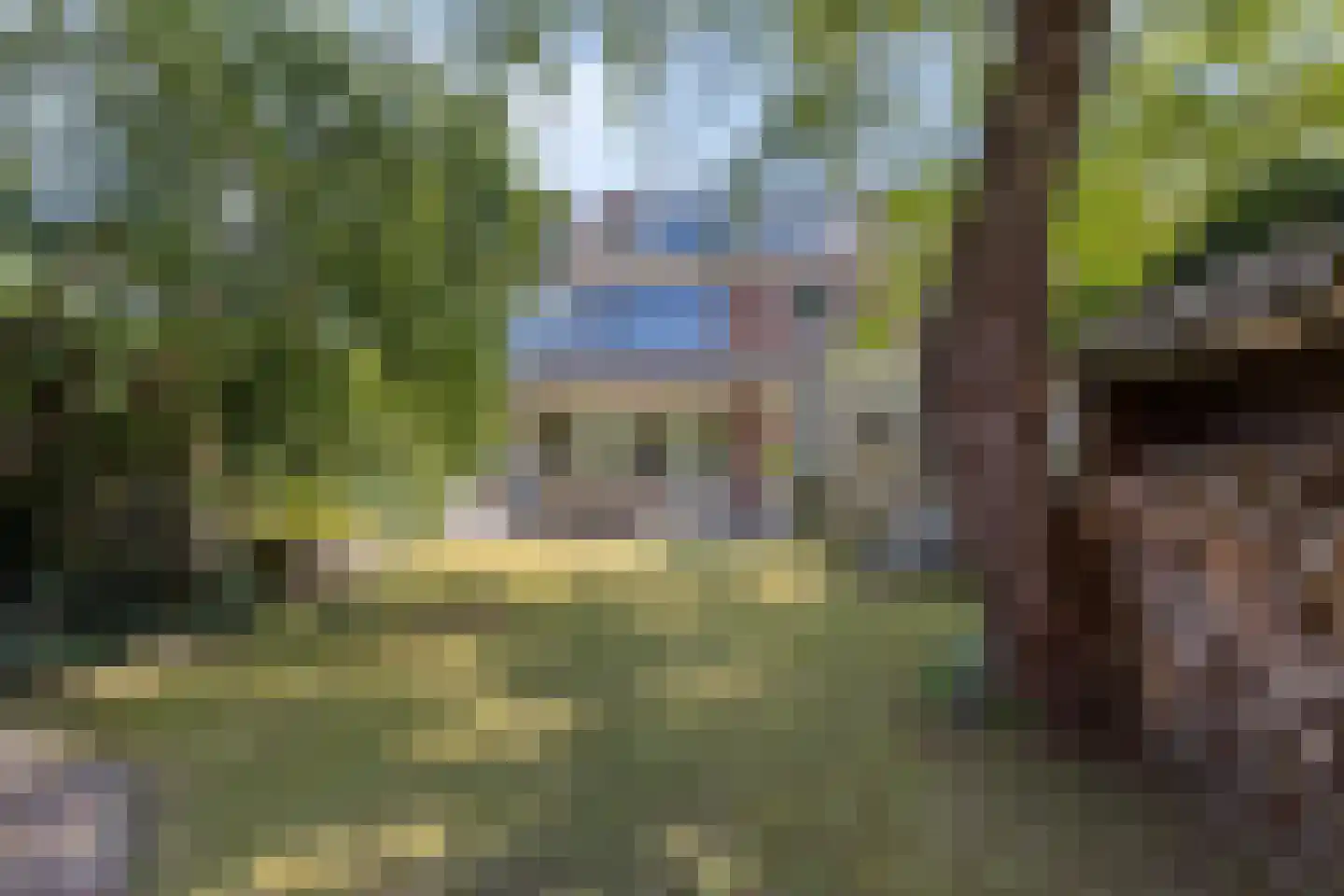 Berkenlaan 83 Sint-Michielsgestel thumbnail 5