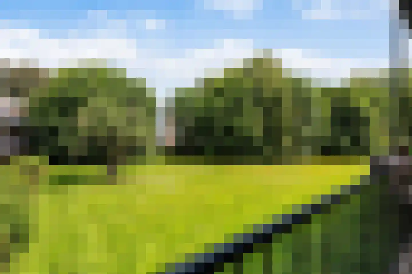 Berkenlaan 83 Zutphen thumbnail 24