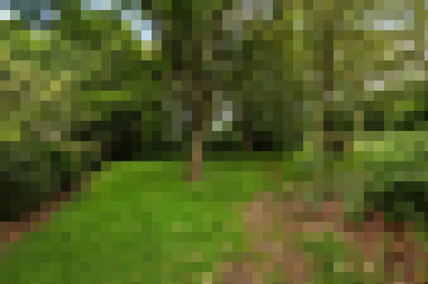 Berkenlaan 83 Zutphen thumbnail 25