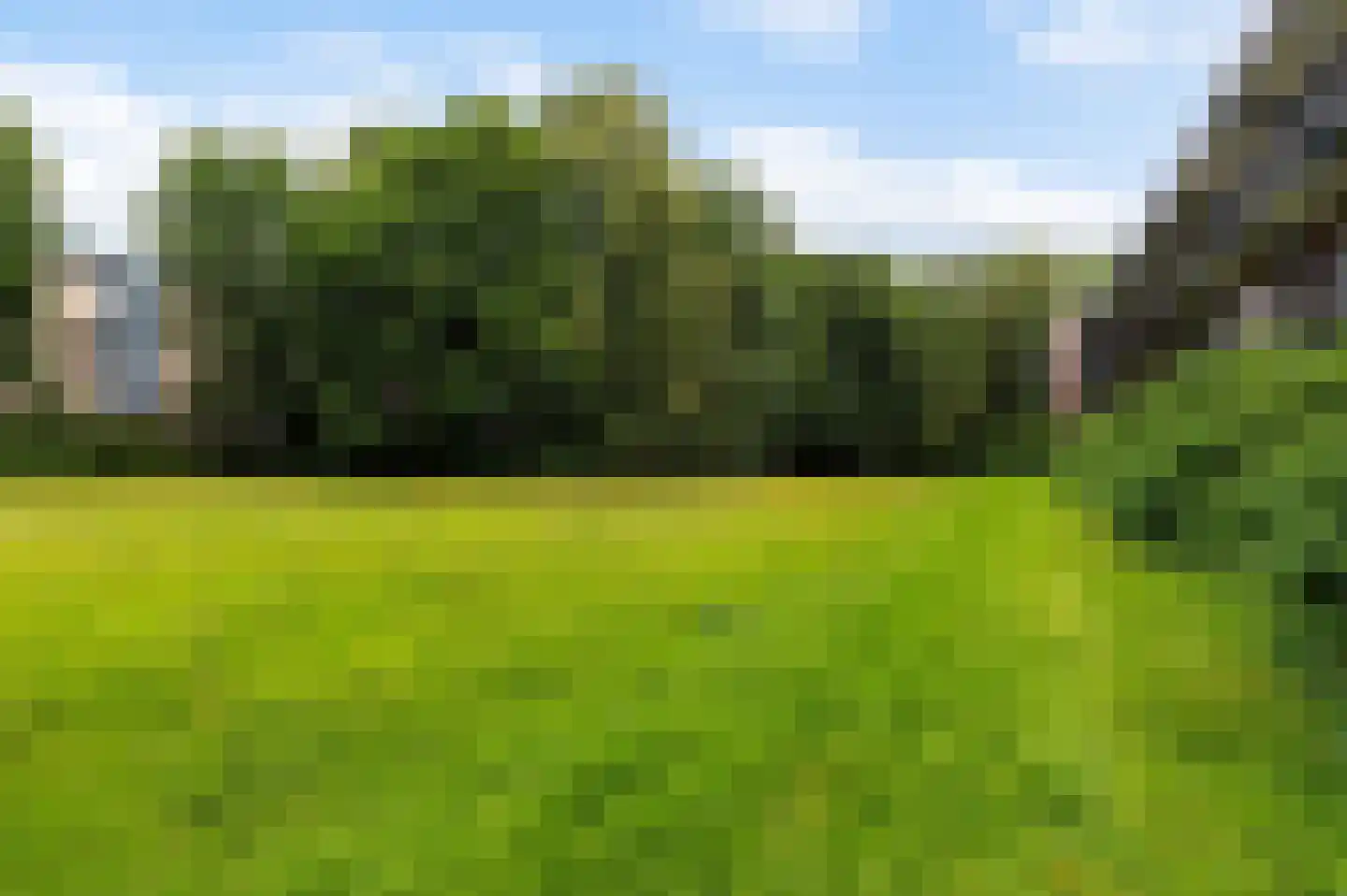 Berkenlaan 83 Zutphen thumbnail 27