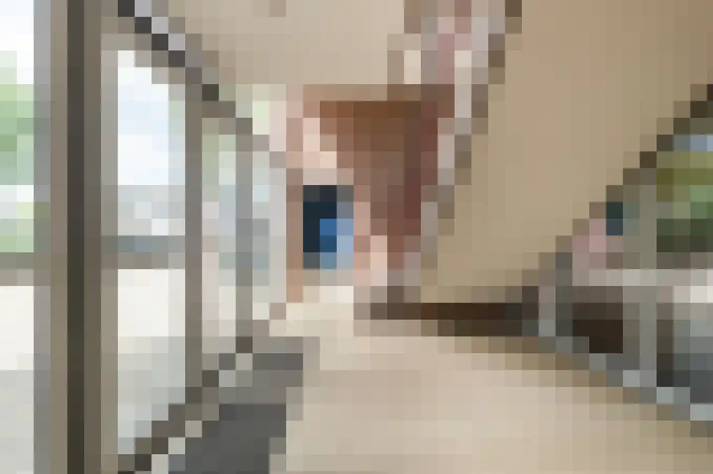 Berkenlaan 83 Zutphen thumbnail 6