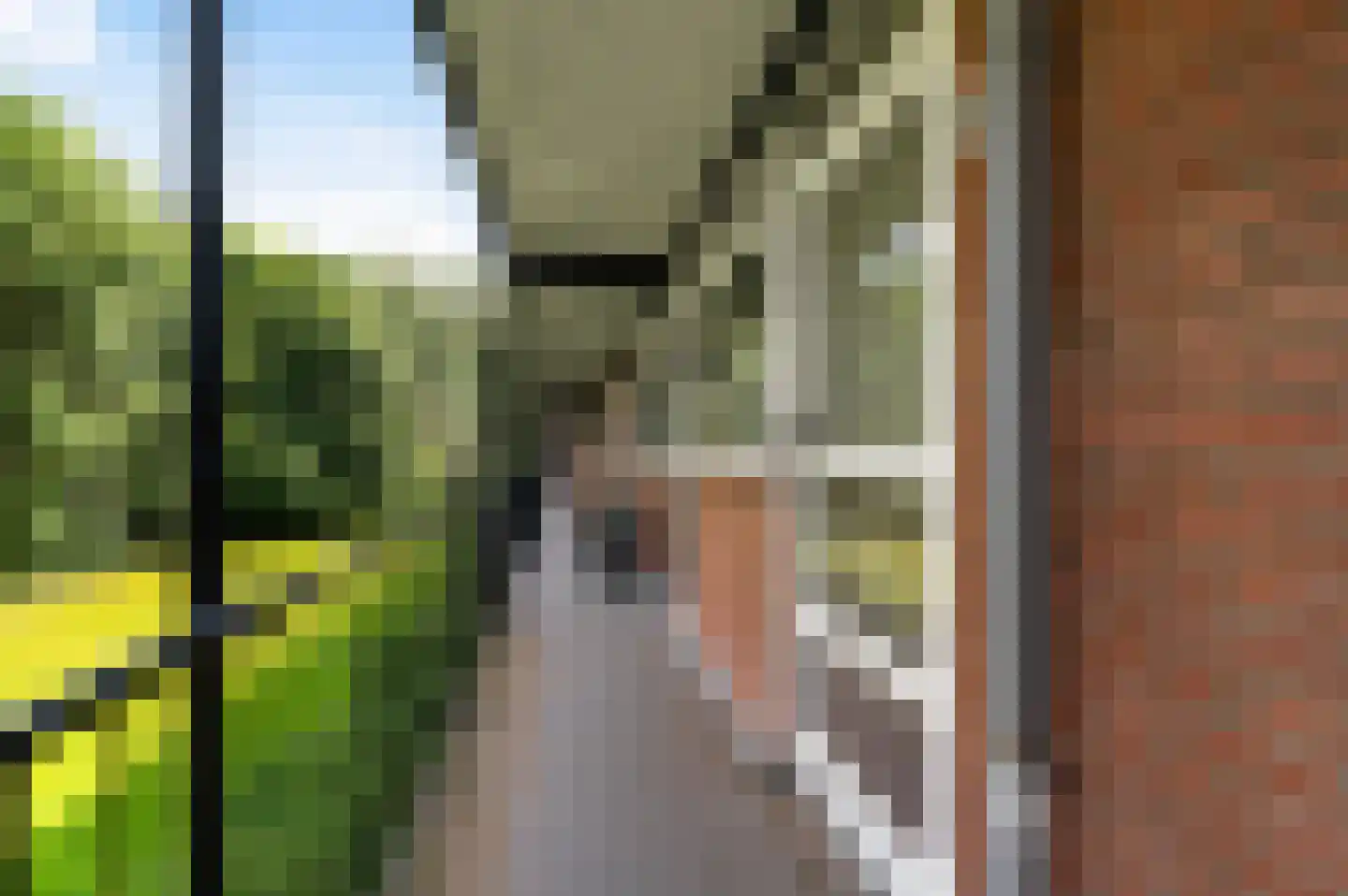 Berkenlaan 83 Zutphen thumbnail 7