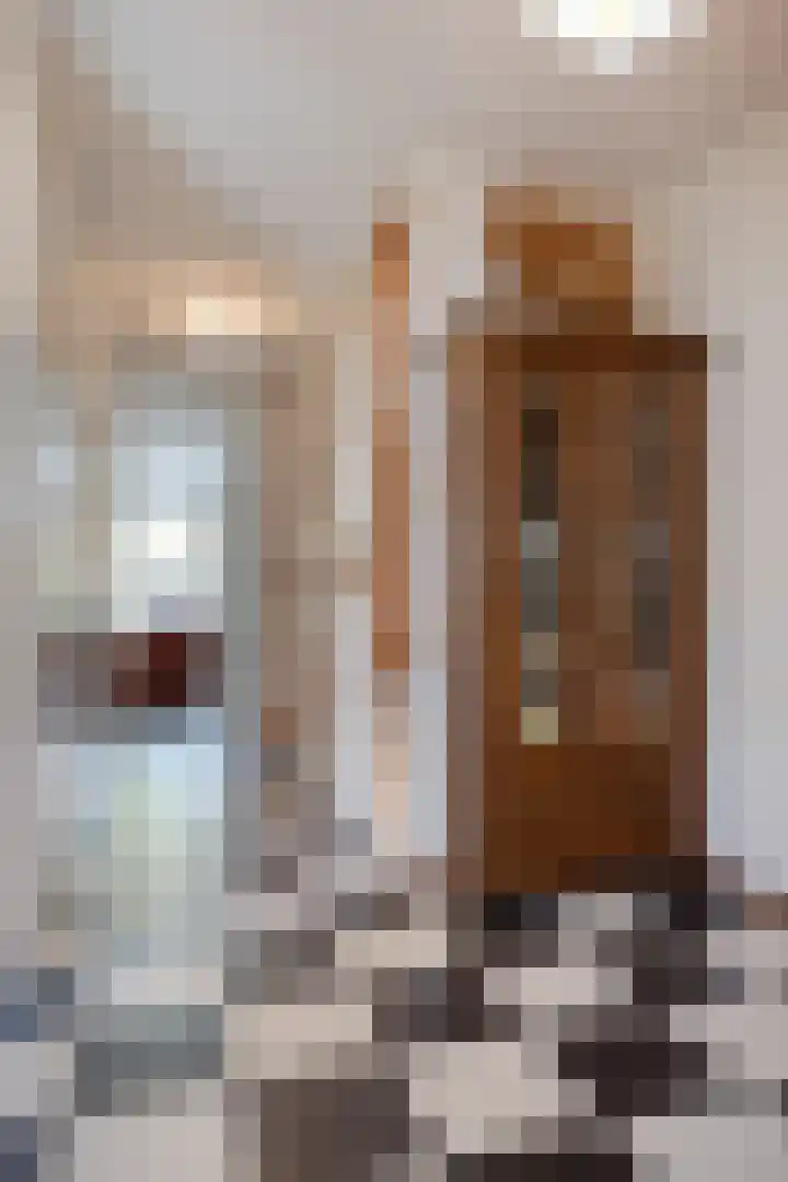Berkenlaan 85 Doorwerth thumbnail 10