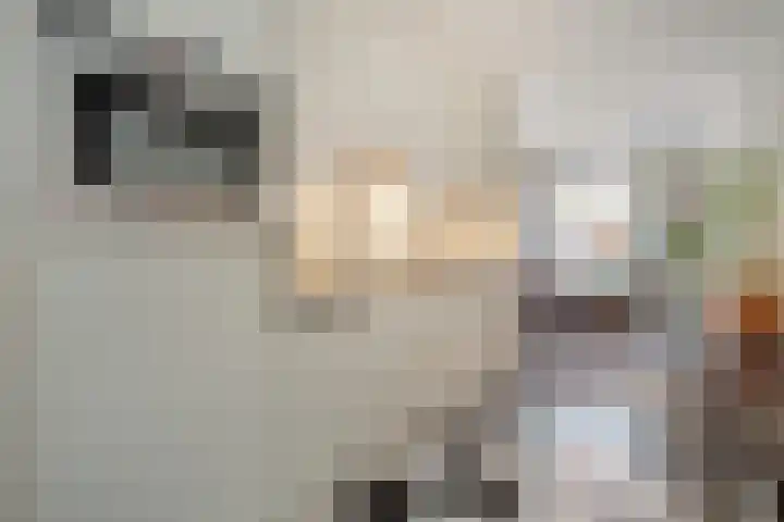 Berkenlaan 85 Doorwerth thumbnail 18