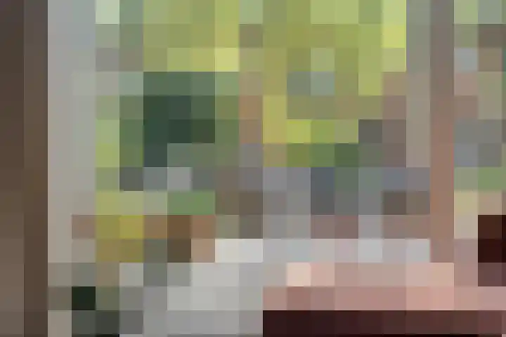Berkenlaan 85 Doorwerth thumbnail 22