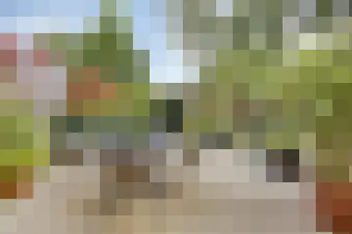 Berkenlaan 85 Doorwerth thumbnail 23