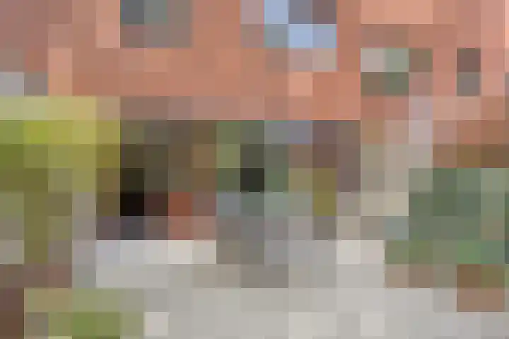 Berkenlaan 85 Doorwerth thumbnail 24