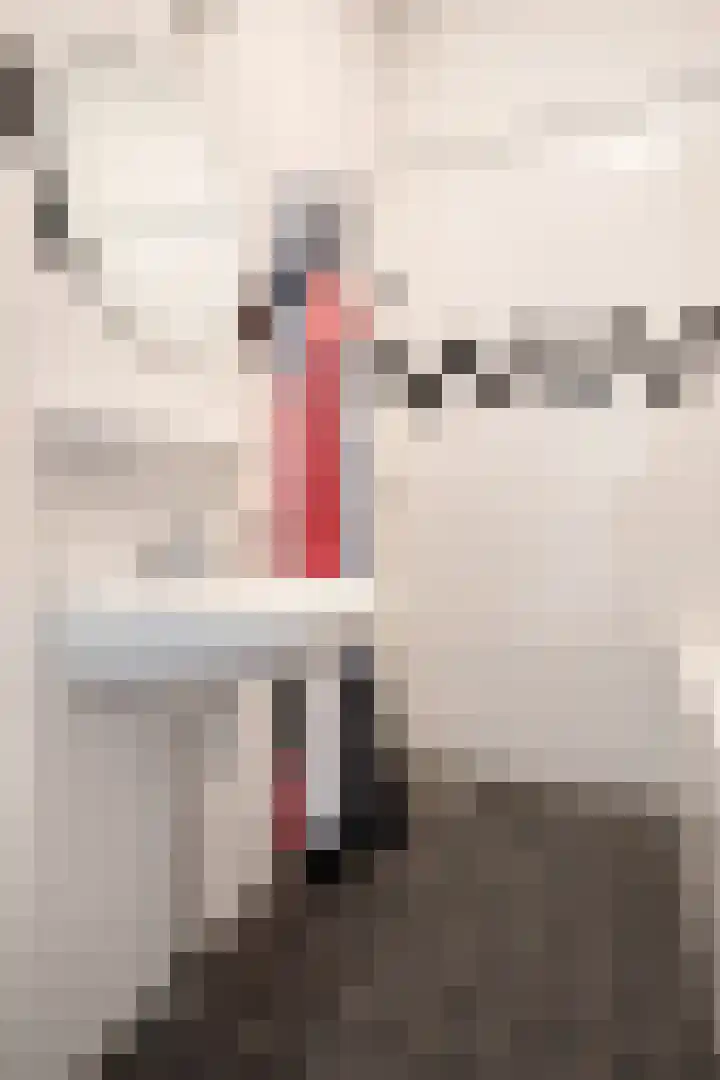 Berkenlaan 85 Doorwerth thumbnail 30