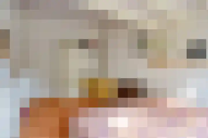 Berkenlaan 85 Doorwerth thumbnail 33