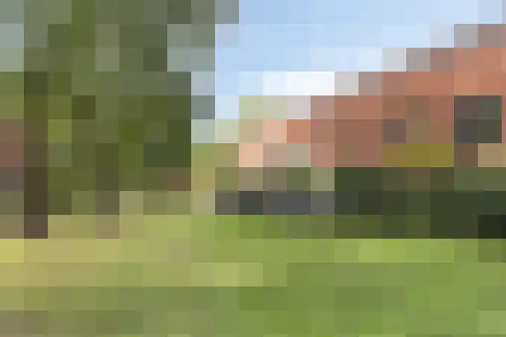 Berkenlaan 85 Doorwerth thumbnail 45